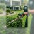 Lake Ridge Landscaping & Outdoor Services by Patriot Pro Solutions LLC