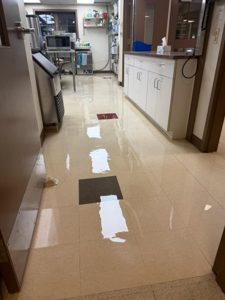 Floor Stripping And Waxing